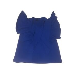 Elegant Blue Women's Ashley Stewart Top